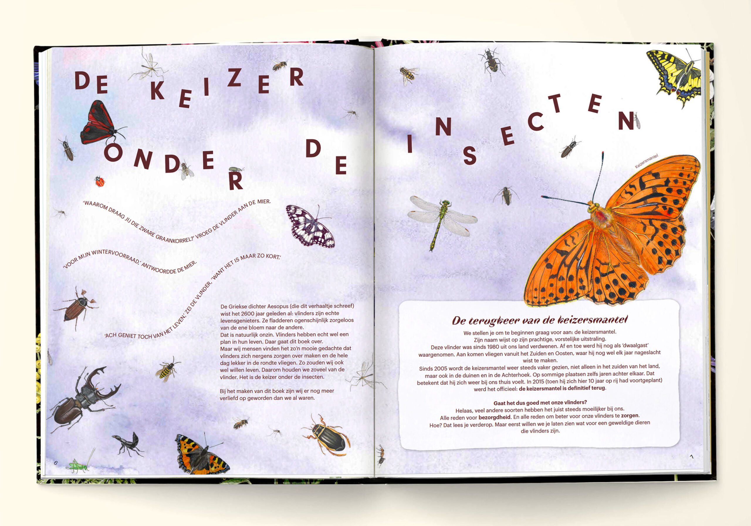handboek-voor-Vlinderfans-binnenwerk2